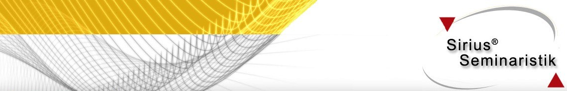 Motivationstraining Engagement und Leistung von Teams verbessern